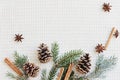 Christmas and New Year composition. Fir branches with cones, star anise, cinnamon on knitted white background Royalty Free Stock Photo