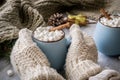 Christmas and New Year cozy holiday composition with cinnamon, scarf, woman hands in mittens holding cup, pine cone