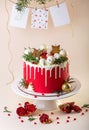 Christmas or New Year decorated cake with cream cheese frosting and cranberries, selective focus Royalty Free Stock Photo