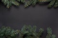 Christmas or New Year decoration background. Fir tree branches on black background with copy space. Top view. Royalty Free Stock Photo