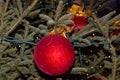 Christmas and New Year Decoration. Baubles hanging on Christmas Tree. Royalty Free Stock Photo