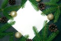 Christmas or new year decoration black background. Fir tree bran Royalty Free Stock Photo
