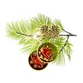 Christmas and New Year decoration red Christmas ornaments golden leaves and fir tree branch with pine cones and golden snowflake Royalty Free Stock Photo