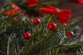 Christmas and New year decorations green fir branch and red ribbons close up holiday background