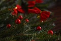 Christmas and New year decorations green fir branch and red ribbons close up holiday background