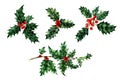 Christmas and New Year decorative elements symbol. Holly berries set. Royalty Free Stock Photo