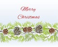 Christmas and New Year decorative seamless bordern snowy branches with pine cones vintage vector illustration editable Royalty Free Stock Photo