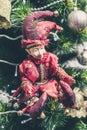 Christmas or New Year decorative toy. Joker Doll on Christmas tree. Close-up Royalty Free Stock Photo