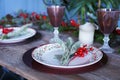 Christmas New Year dinner decor Royalty Free Stock Photo