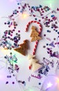 Christmas or New year festive background. Greeting card composition with striped candy, glitters and fir trees made of bread. Holi Royalty Free Stock Photo