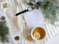 Christmas and New Year flat lay background with blank greeting note