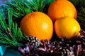 Christmas or new year fruit basket top view. Oranges and lemon lie in a basket with a Christmas tree and Christmas cones. New