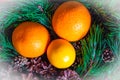 Christmas or new year fruit basket top view. Oranges and lemon lie in a basket with a Christmas tree and Christmas cones. New