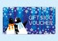 Christmas and New Year gift voucher.