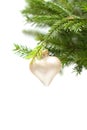 Christmas or New Year green fir and decor