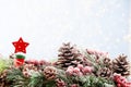 Christmas fir tree with bokeh background. Merry Christmas and Happy New Year. Christmas bokeh background with snow fir tree. Top Royalty Free Stock Photo