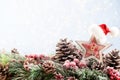 Christmas fir tree with bokeh background. Merry Christmas and Happy New Year. Christmas bokeh background with snow fir tree. Top Royalty Free Stock Photo