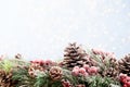 Christmas fir tree with bokeh background. Merry Christmas and Happy New Year. Christmas bokeh background with snow fir tree. Top Royalty Free Stock Photo