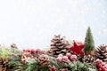 Christmas fir tree with bokeh background. Merry Christmas and Happy New Year. Christmas bokeh background with snow fir tree. Top Royalty Free Stock Photo