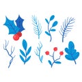 Christmas or New Year holly berry decoration icon, leaves tree. Xmas traditional Holly Berry symbol leaf vector branch Royalty Free Stock Photo