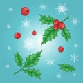 Christmas and New Year holly berry icon collection. Vector