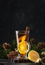 Christmas or New Year hot winter drink, spicy grog cocktail, punch or mulled wine with tea, lemon, rum, cinnamon, anise. Rustic Royalty Free Stock Photo