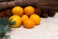 Christmas and New Year Mandarins in the snow next to the multi-colored sweaters, pine cones and Christmas tree branch Royalty Free Stock Photo