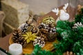 Christmas and New Year photo studio, green tree, cones tree, ceramic figurine, white wall (1).