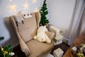 Christmas and New Year photo studio, green tree, soft chair, garlands stars, plush toy, white wall (1). Royalty Free Stock Photo