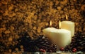 Christmas Or New Year`s Composition With Burning Candles And Spr