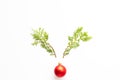 Top view of pine fir branches with red bell in shape of reindeer on white background.