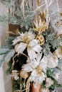 Christmas and New Year's flowers composition. Royalty Free Stock Photo