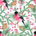 Christmas and New Year seamless pattern with snowbird sitting on pine branch with cones and berry on white background