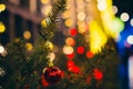 Red Christmas decoration on the pine branch at night bokeh Royalty Free Stock Photo