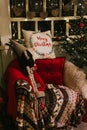 christmas and new year time. cozy soft armchair or easy chair with a comfy plaid and a red pad pillow Royalty Free Stock Photo