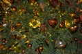 Christmas Tree Covered with Yellow and Red Decorations Royalty Free Stock Photo