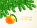 Christmas and New Year vector background with fir branches and hanging mandarine