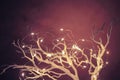 Christmas New year winter branches with lights and shadows photo Royalty Free Stock Photo