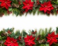 Christmas New Years banner frame from upper and bottom border from red poinsettia flowers green fir tree branches holly berry Royalty Free Stock Photo