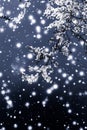 Christmas, New Years black floral background, holiday card design, flower tree and snow glitter as winter season sale promotion Royalty Free Stock Photo