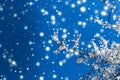 Christmas, New Years blue floral background, holiday card design, flower tree and snow glitter as winter season sale promotion