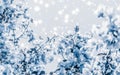 Christmas, New Years blue floral nature background, holiday card design, flower tree and snow glitter as winter season sale Royalty Free Stock Photo
