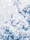 Christmas, New Years blue floral nature background, holiday card design, flower tree and snow glitter as winter season sale Royalty Free Stock Photo