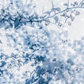 Christmas, New Years blue floral nature background, holiday card design, flower tree and snow glitter as winter season sale Royalty Free Stock Photo