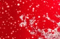 Christmas, New Years red floral background, holiday card design, flower tree and snow glitter as winter season sale promotion Royalty Free Stock Photo