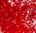 Christmas, New Years red floral background, holiday card design, flower tree and snow glitter as winter season sale promotion Royalty Free Stock Photo