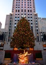 Christmas in new york - Rockefeller Center Christmas Tree