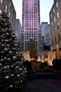 Christmas in new york - Rockefeller Center Christmas Tree