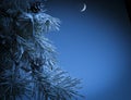 Christmas night Royalty Free Stock Photo