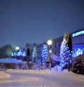 Christmas the night star sky falls snow trees are decorated with color sparks